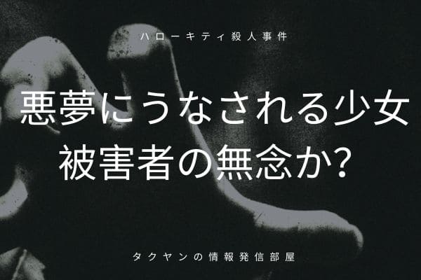 幽霊？による心霊現象でハローキティ殺人事件が発覚した