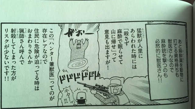 熊に麻酔銃って撃てないの？どうして使えないの？