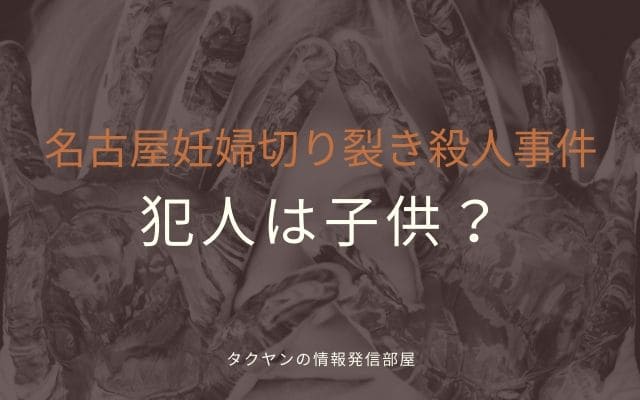 名古屋妊婦切り裂き殺人事件:　犯人はもしかしたら子供？